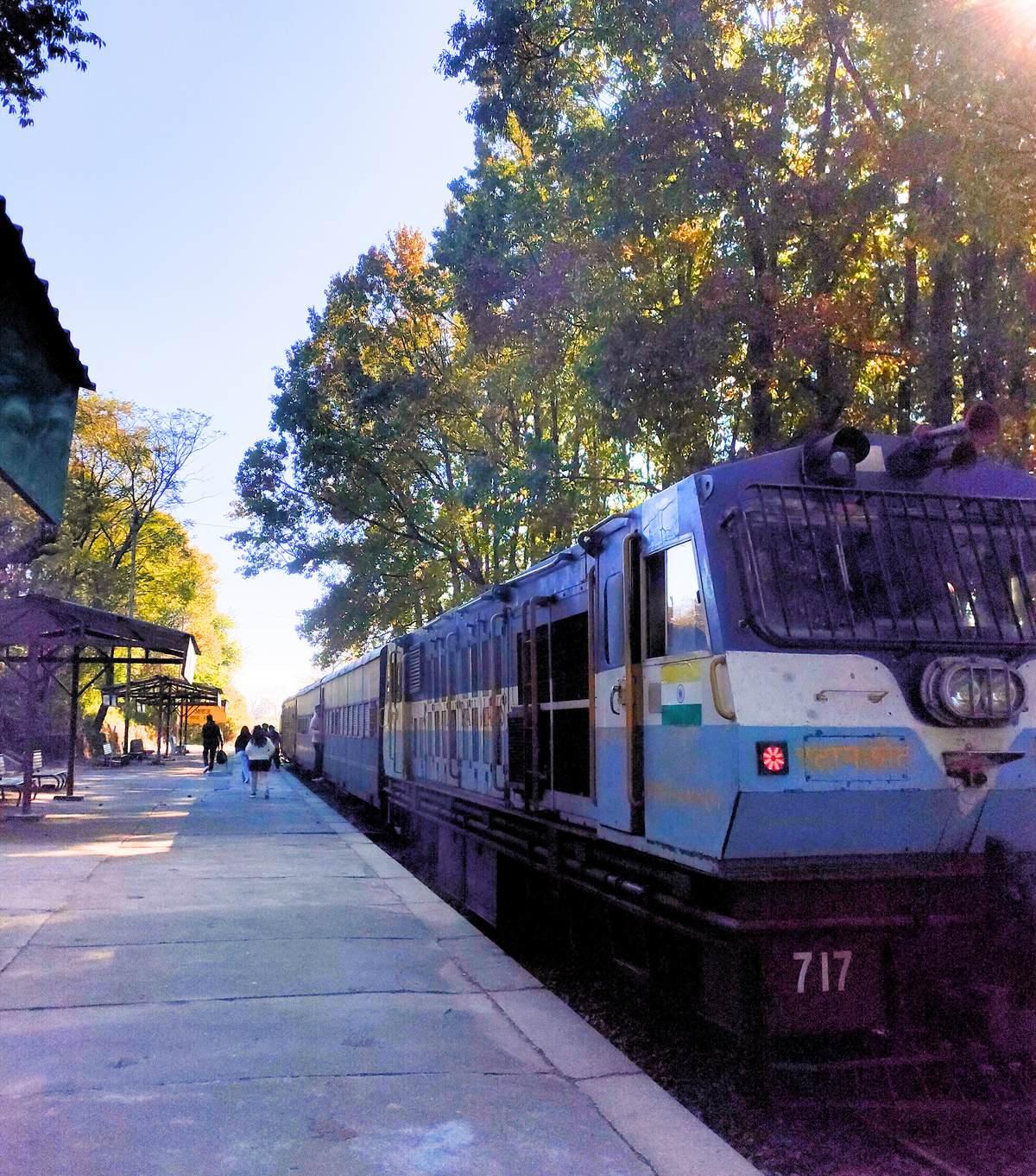 Kangra Valley toy train pulling into a tree‑lined station at golden hour
